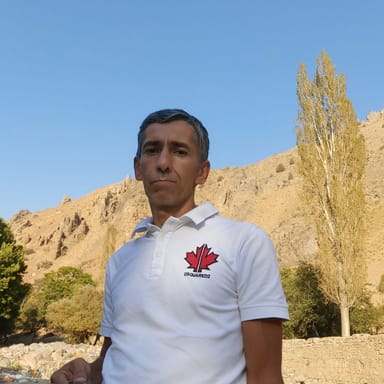 محمد حسین پاری 